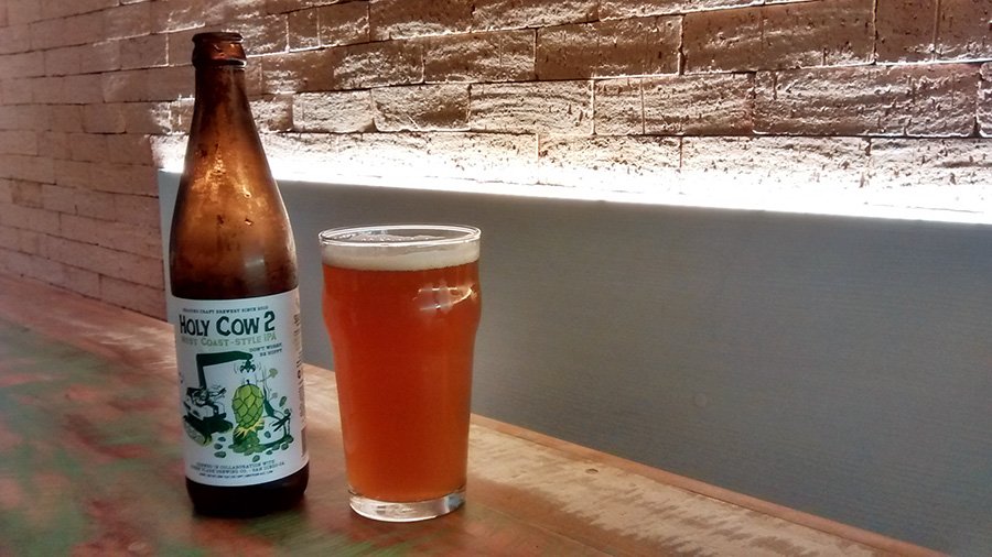 sobre-amor-flores-e-cervejas-amargas.jpg